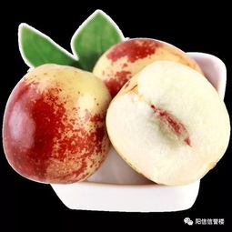 二楼超市黄骅冬枣品鉴展示会