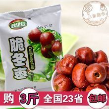 黄骅冬枣 品味渤海之滨的甜蜜馈赠