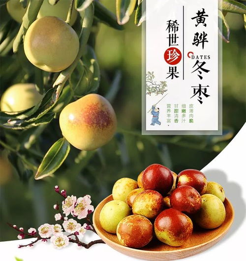 万德隆黄骅冬枣 只为您更好的享受健康品质生活